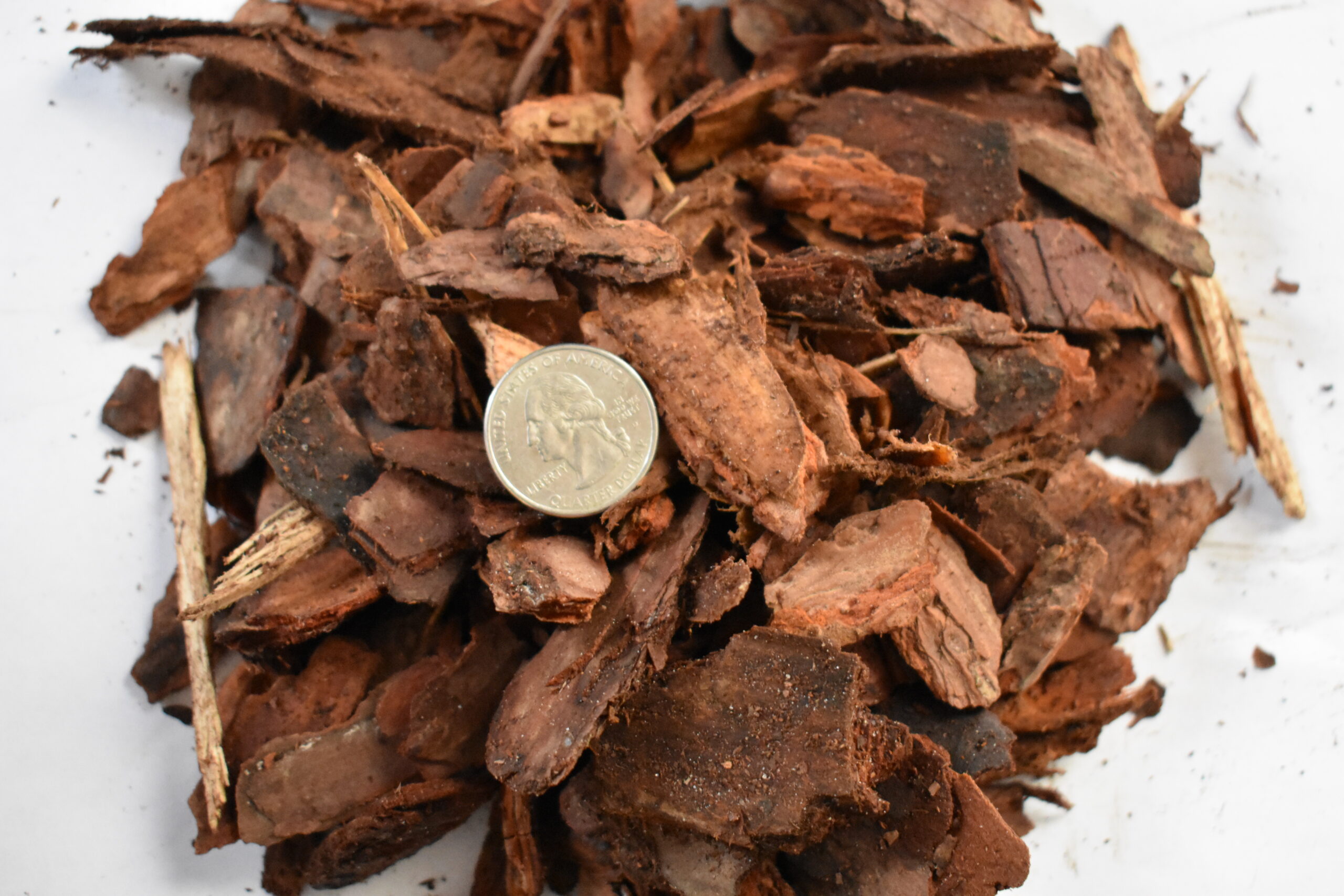 Mini Pine Nugget Bagged Mulch Columbus, OH Kurtz Bros Central Ohio